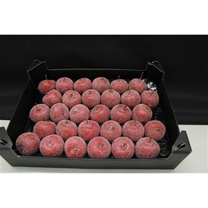 Waxappel Glitter Kerstrood