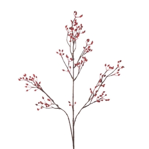 AF Rosehip Corallo Sp L99cm Re