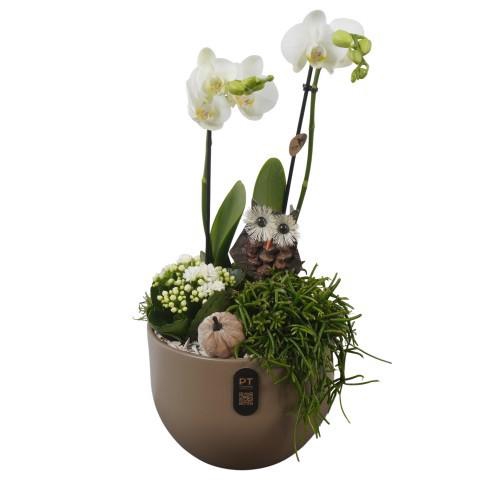 <h4>PTHI3252 Arrangement Autumn Indoor in keramiek pot</h4>