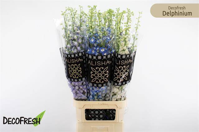 <h4>Delph Du Gem Fust</h4>
