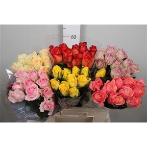 R Gr Gemengd In Fust