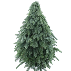 Nobilis Kerstboom Classic 80cm