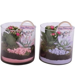 Mothersday Arr. Indoor Glass Vase Cylinder Ø15cm 2PP