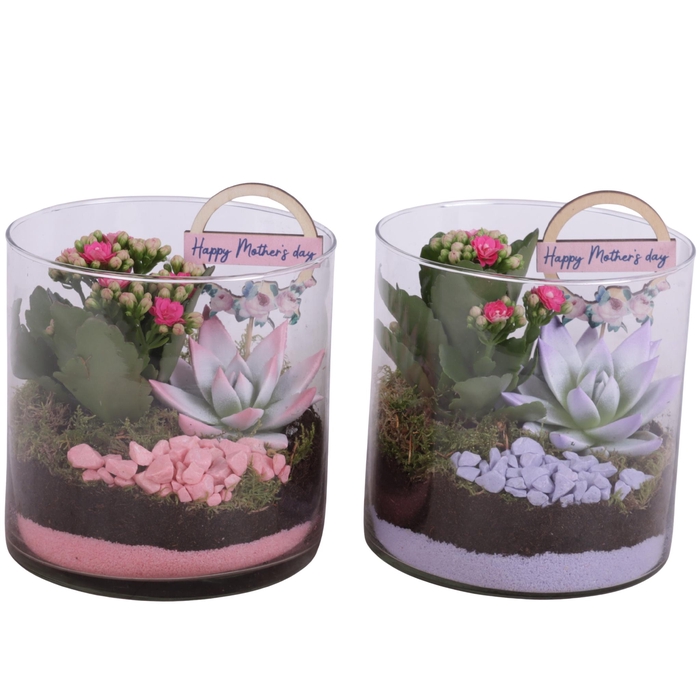 <h4>Mothersday Arr. Indoor Glass Vase Cylinder Ø15cm 2PP</h4>