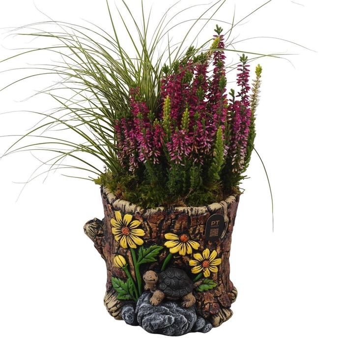 <h4>Arr.   Tuinplanten L%</h4>