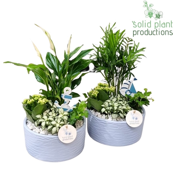 SC003 Loes Blue Mix