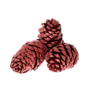 Pine cone Maritima 12cm x3