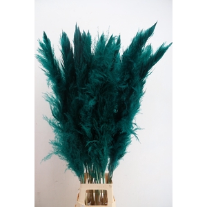 DF Pampas 130cm Petrol