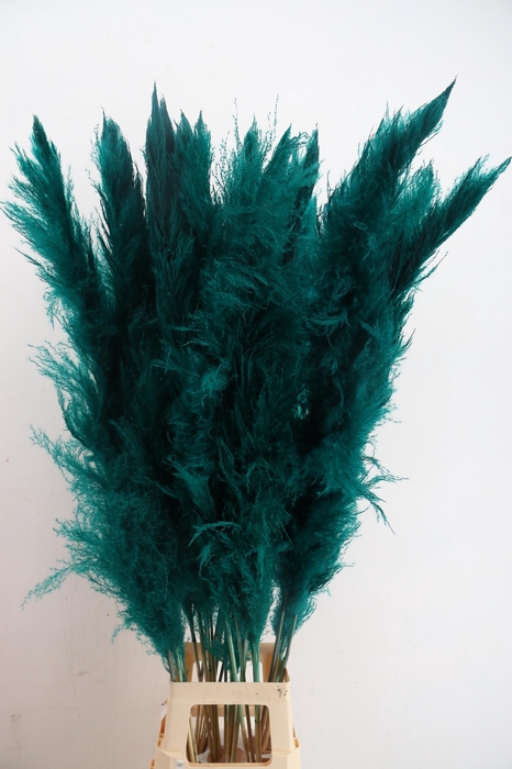 <h4>DF Pampas 130cm Petrol</h4>