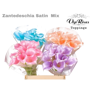 ZANT SATIN MIX