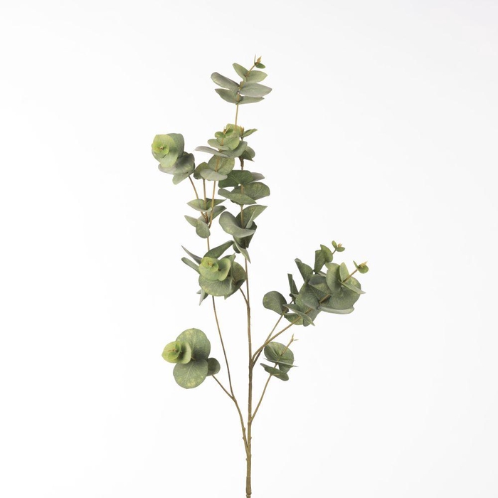 <h4>AF Eucalyptus groen 99cm</h4>
