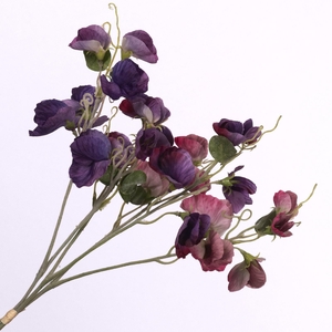 Lathyrus Bundle Pink Purple BK770002PRP
