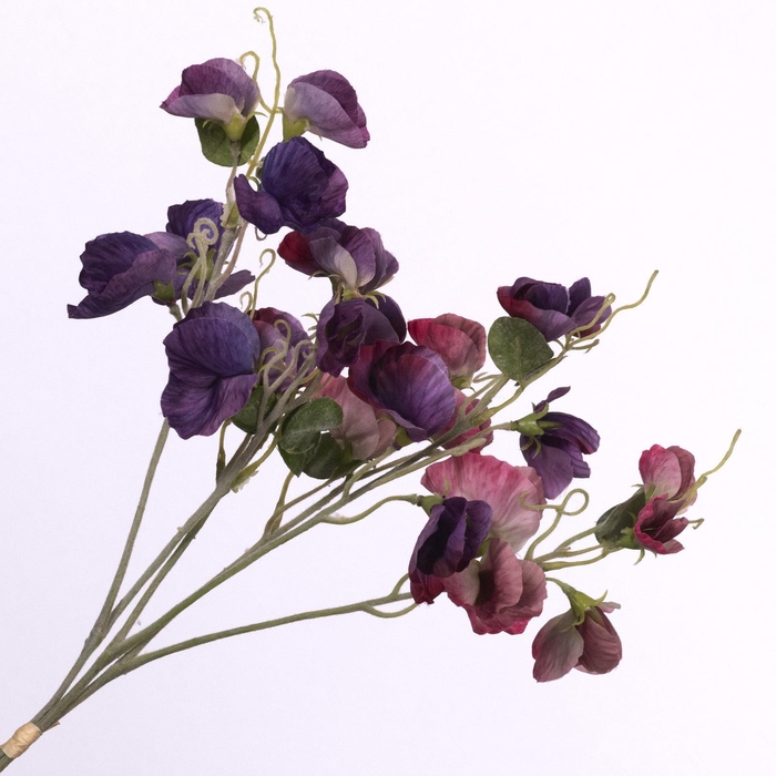 <h4>Lathyrus Bundle Pink Purple BK770002PRP</h4>