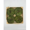 Wr Sierfruit Juniperus Mini 12cm