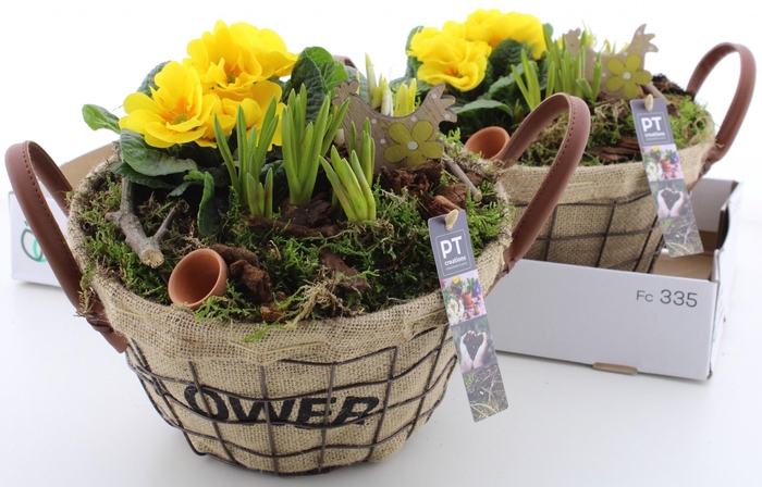 <h4>ARR PL IN SCHAAL</h4>