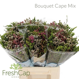 Bouquet Cape Mix