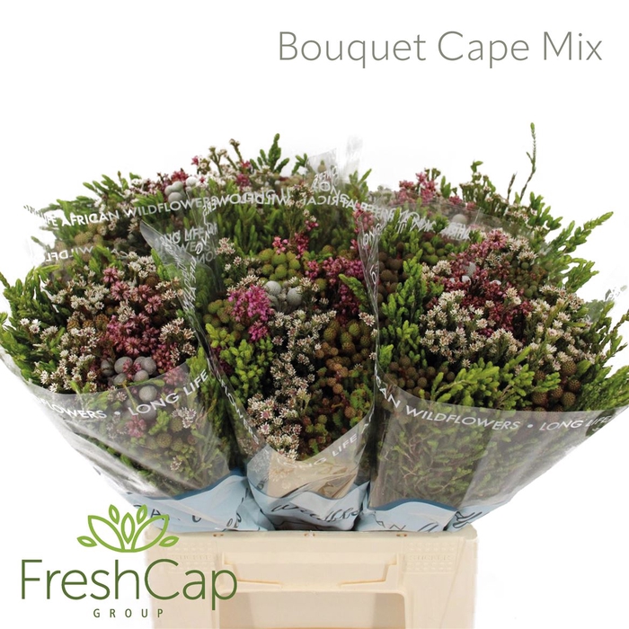 <h4>Bouquet Cape Mix</h4>