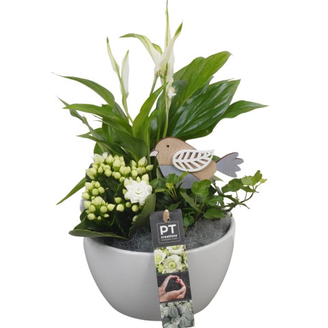 <h4>PTIB6368 Arrangement Indoor in keramiek schaal</h4>