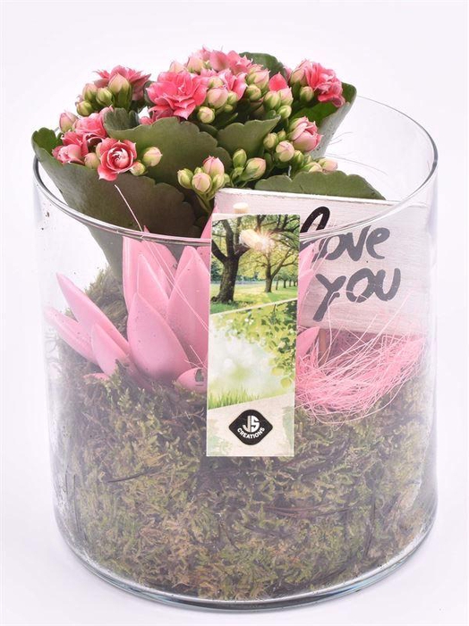 <h4>Glas cilinder 15cm/H 15cm</h4>