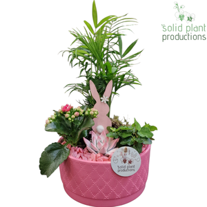 CE003 Loes Pink Easter