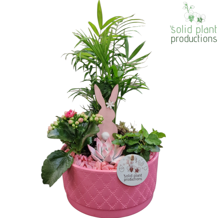 <h4>CE003 Loes Pink Easter</h4>
