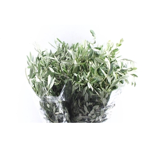 Olijf 200 Gram