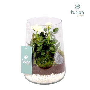 Green Bottle Deline Medium met Potroos