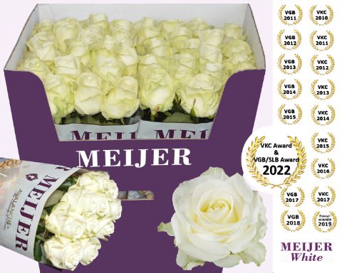 <h4>R Gr Avalanche White Meijer 90 cm</h4>