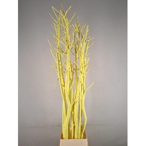 Ferule Kapstok Yellow