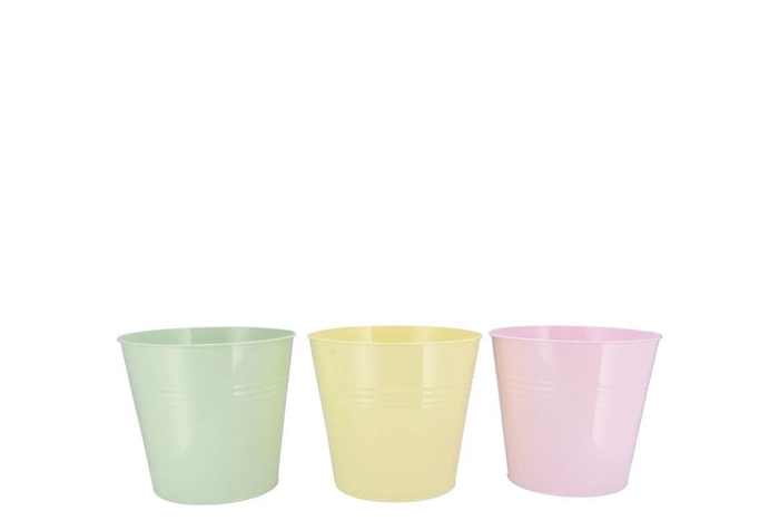 <h4>Zinc Dreamy Pastel Mix Bucket Basic Ass 15x14x11cm</h4>