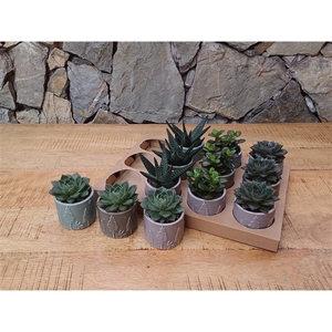 PAREL 47.1 Succulent mix in Xmas Nordic ceramics 7cm