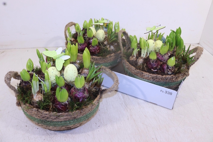 <h4>ARR BOL KNOLGEWAS</h4>