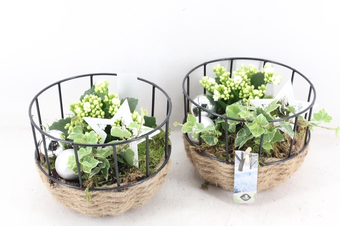 <h4>arr2 JS - Touw draadmand</h4>