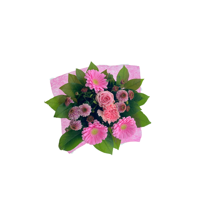 <h4>BQ Shorties Pink</h4>