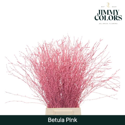 <h4>Betula L70 Pink</h4>