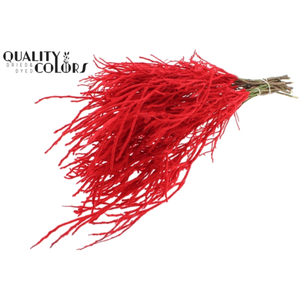 HEIDELBEER ROOD FLOCK