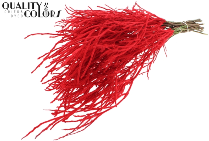 <h4>HEIDELBEER ROOD FLOCK</h4>