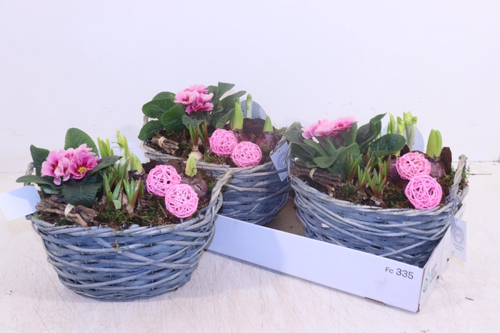 <h4>ARR TUINPLANTEN</h4>