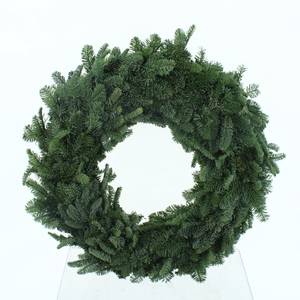 NOBILIS-KRANS H%