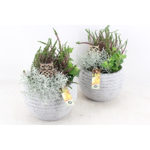 arr4 Outdoor JS - Beton ribbel bol 338/3