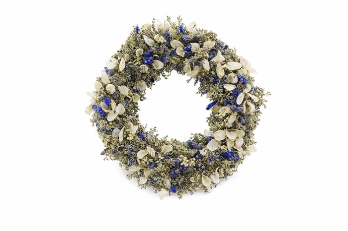 <h4>Wr Blue Delight 40cm Naturel</h4>