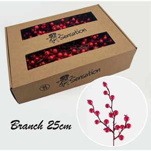 Zijde Berry Pick Spray Small Rood 25cm
