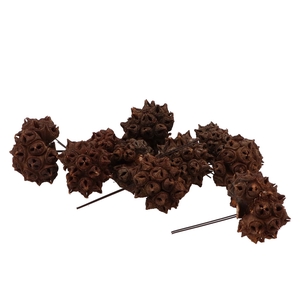 Nature Pine Cone Spidergum Brown On Wire P/40