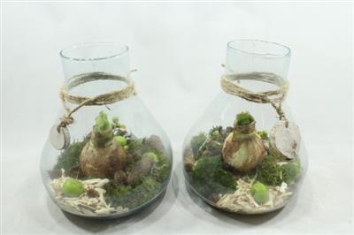 <h4>AM87 XXL PARIS</h4>