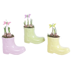 Early Spring Arr. Narcis Ceramic Boot Gr/Pi/Ye Ø15cm 1PP