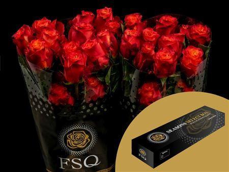 <h4>R Gr Atomic Box</h4>