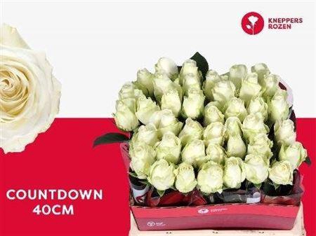 <h4>R Gr Countdown!</h4>