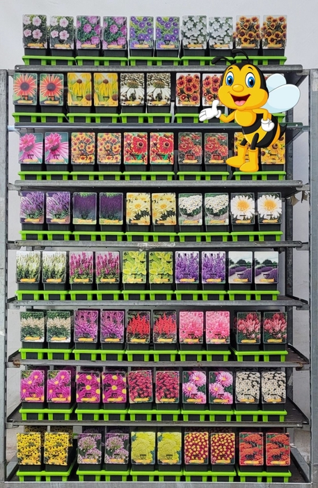 Vaste planten mixkar