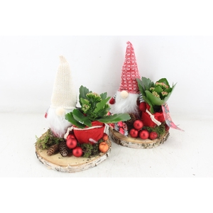 arr2 MB - Gnome op schijf met kalan. 285/5