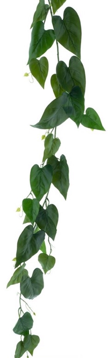 <h4>Anthurium leaf garland green 180cm</h4>